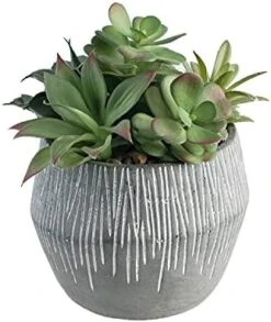 FAVRD Artificial Succulents In Cement Pot Environmentally Conscious Partly Recycled Fake Plants Artificial Plants Indoor Home Office Decor Desk Faux Plants, 8.5 X 8.5 X 8.75 Inches, Green, (10181-A) -Artificial Trees Store 41jzBIJZZ9S. AC