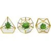Mkono Artificial Succulent In 3 Pack Mini Glass Geometric Terrarium, Miniature Potted Faux Plant Bookshelf Desk Boho Office Room Decor For Women Girls Dorm Gift Idea, Gold -Artificial Trees Store 41kBN5ecliL