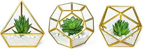 Mkono Artificial Succulent In 3 Pack Mini Glass Geometric Terrarium, Miniature Potted Faux Plant Bookshelf Desk Boho Office Room Decor For Women Girls Dorm Gift Idea, Gold 10 Mkono Artificial Succulent In 3 Pack Mini Glass Geometric Terrarium, Miniature Potted Faux Plant Bookshelf Desk Boho Office Room Decor For Women Girls Dorm Gift Idea, Gold - Image 8