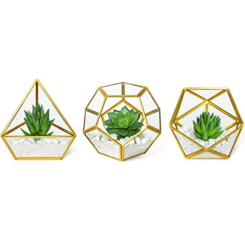 Mkono Artificial Succulent In 3 Pack Mini Glass Geometric Terrarium, Miniature Potted Faux Plant Bookshelf Desk Boho Office Room Decor For Women Girls Dorm Gift Idea, Gold 3 Mkono Artificial Succulent In 3 Pack Mini Glass Geometric Terrarium, Miniature Potted Faux Plant Bookshelf Desk Boho Office Room Decor For Women Girls Dorm Gift Idea, Gold