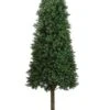 Arcadia Silk Plantation 5.5' Cone-Shaped Boxwood Topiary In Plastic Pot Two Tone Green 1 Arcadia Silk Plantation 5.5' Cone-Shaped Boxwood Topiary In Plastic Pot Two Tone Green -Artificial Trees Store 41kOipQwusL