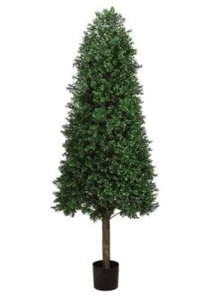 Arcadia Silk Plantation 5.5' Cone-Shaped Boxwood Topiary In Plastic Pot Two Tone Green
