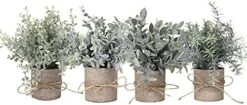 PENGYEE Artificial Topiaries Plants & Flowers, 4 Pcs Mini Plants Artificial Potted Set Fake Green Grass Plant Faux Plastic Topiary For Home Office Desk Bathroom Kitchen Counter Decoration (Mixed) -Artificial Trees Store 41kSteyquVS. AC