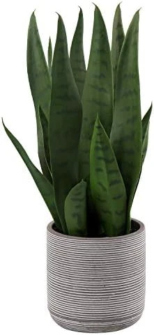 Briful 14'' Fake Snake Plant Home Decor Real Touch Faux Sansevieria Plant In White Ceramic Pot With Wooden Stand Artificial Snake Plant With Wide Leaves For Kitchen Living Room Bathroom Decorations 8 Briful 14'' Fake Snake Plant Home Decor Real Touch Faux Sansevieria Plant In White Ceramic Pot With Wooden Stand Artificial Snake Plant With Wide Leaves For Kitchen Living Room Bathroom Decorations - Image 6