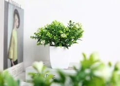 FEILANDUO Set Of 2 Mini Potted Artificial Plants Plastic Fake Green Plant For Home Decor Office Desk Shower Room Decoration Faux Plants Indoor (White, Set Of 2) 9 FEILANDUO Set Of 2 Mini Potted Artificial Plants Plastic Fake Green Plant For Home Decor Office Desk Shower Room Decoration Faux Plants Indoor (White, Set Of 2) -Artificial Trees Store 41m4yJZvg4L