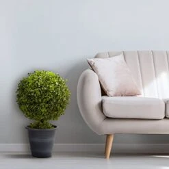 Nearly Natural 4560 23" Boxwood Ball Topiary 9 Nearly Natural 4560 23" Boxwood Ball Topiary -Artificial Trees Store 41m8LLkHPWL