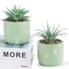 Der Rose 2 Packs Fake Plants Succulents Plants Artificial For Living Room Bedroom Aesthetic Decor 2 Der Rose 2 Packs Fake Plants Succulents Plants Artificial For Living Room Bedroom Aesthetic Decor -Artificial Trees Store 41mExxK9JKL