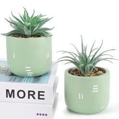 Der Rose 2 Packs Fake Plants Succulents Plants Artificial For Living Room Bedroom Aesthetic Decor