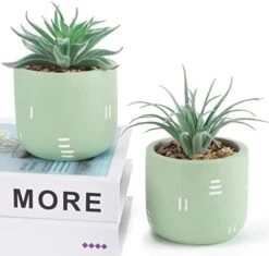 Der Rose 2 Packs Fake Plants Succulents Plants Artificial For Living Room Bedroom Aesthetic Decor -Artificial Trees Store 41mExxK9JKL. AC