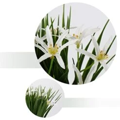 Briful Small Artificial Grass Plant Decor Wheat Fake Plant With Flowers In Ceramic Pot Real Touch Potted Greenery Faux Plant For Kitchen Countertop Tabletop Bookshelf Coffee Decorations -Artificial Trees Store 41mQ9s6q1bL