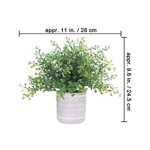 Set Of 3 Assorted Small Potted Plants Fake Eucalyptus Boxwood Plants And Aloe Succulent Plant In Gray Geometric Concrete Ceramic Pots For Gifts Home Kitchen Table Desk Indoor Outdoor Greenery Decor 3 Set Of 3 Assorted Small Potted Plants Fake Eucalyptus Boxwood Plants And Aloe Succulent Plant In Gray Geometric Concrete Ceramic Pots For Gifts Home Kitchen Table Desk Indoor Outdoor Greenery Decor