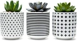 Dipiti Artificial Succulent Plants In Pots-Set Of 3|Black And White Ceramic Planters|Faux Plants Indoor & Outdoor|Gifts For Women|Kitchen Office Bathroom Desk Bedroom Shelf Decor|Potted Fake Plants -Artificial Trees Store 41mcbwUG3pS. AC