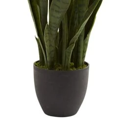 Nearly Natural, Green 4855 35in. Sansevieria With Black Planter -Artificial Trees Store 41mmoxsJseL