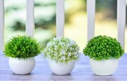 ELYSIANZE Mini Artificial Plants | Modern Farmhouse Plants Home Decor | Small Fake Plants | Office/Kitchen/Bathroom/Bedroom/Mantle/Shelf/Living Room/Table Decoration Faux Plant Set -Artificial Trees Store 41mrAxviMUL