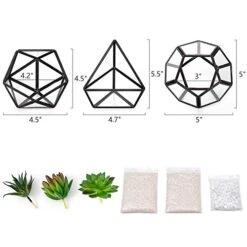 Mkono Artificial Succulent In 3 Pack Mini Glass Geometric Terrarium, Miniature Potted Faux Plant Bookshelf Desk Boho Office Room Decor For Women Girls Dorm Gift Idea, Black -Artificial Trees Store 41nWBpgLtTL