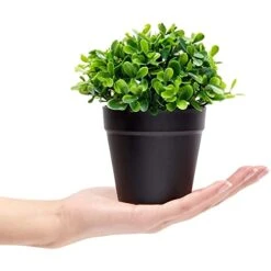 Juvale 3 Pack Mini Artificial Potted Fake Plants For Home Decor, Indoor Small Faux Topiaries For Room, Office Desk, Bathroom Greenery Decoration 12 Juvale 3 Pack Mini Artificial Potted Fake Plants For Home Decor, Indoor Small Faux Topiaries For Room, Office Desk, Bathroom Greenery Decoration -Artificial Trees Store 41niISATHfL
