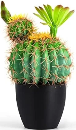 Sunprairie 14” & 30” Tall Rustic Artificial Cactus In Bloom With Soft Spines —Plant Decor Including Attractively Matching Matte Black Pot—Gorgeous Artificial Succulent Plants. -Artificial Trees Store 41nt0K4kGaL. AC