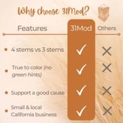 31Mod Faux Pampas Grass With 4 Large Artificial Pampas Grass Stems — 43" (Set Of 4), No-Shedding And Low Maintenance Pampas Grass Decor, Fake Pampas Grass, Pampas Grass Large, Boho Decor (43") 14 31Mod Faux Pampas Grass With 4 Large Artificial Pampas Grass Stems — 43" (Set Of 4), No-Shedding And Low Maintenance Pampas Grass Decor, Fake Pampas Grass, Pampas Grass Large, Boho Decor (43") -Artificial Trees Store 41oCPCDhkNL