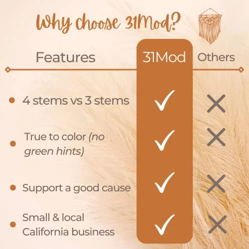 31Mod Faux Pampas Grass With 4 Large Artificial Pampas Grass Stems — 43" (Set Of 4), No-Shedding And Low Maintenance Pampas Grass Decor, Fake Pampas Grass, Pampas Grass Large, Boho Decor (43") 8 31Mod Faux Pampas Grass With 4 Large Artificial Pampas Grass Stems — 43" (Set Of 4), No-Shedding And Low Maintenance Pampas Grass Decor, Fake Pampas Grass, Pampas Grass Large, Boho Decor (43") - Image 6