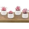 CASTNOO Set Of 4 Succulents Plants Artificial, Mini Fake Succulents For Women Office, Faux Succulents Decor, Artificial Succulents In Ceramic Pots For Desk, Home, Shelf Decorations -Artificial Trees Store 41oSw3XNsZL