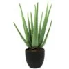 Beebel Artificial Succulent Fake Aloe For Bathroom Home Office Decor,Faux Succulent Plant With Black Plastic Planter,Artificial Potted Plant For House Decor (Aloe Succulent/13 Leaf) 1 Beebel Artificial Succulent Fake Aloe For Bathroom Home Office Decor,Faux Succulent Plant With Black Plastic Planter,Artificial Potted Plant For House Decor (Aloe Succulent/13 Leaf) -Artificial Trees Store 41oVT3ganFL
