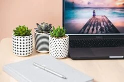 Dipiti Artificial Succulent Plants In Pots-Set Of 3|Black And White Ceramic Planters|Faux Plants Indoor & Outdoor|Gifts For Women|Kitchen Office Bathroom Desk Bedroom Shelf Decor|Potted Fake Plants -Artificial Trees Store 41oat2jXkwS