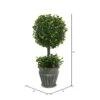 Vickerman Everyday Artificial Boxwood Topiary 13 Inch - Lifelike Home Office Decor - Potted Indoor Faux Table Top Tree - Maintenance Free -Artificial Trees Store 41ofipdUnwL