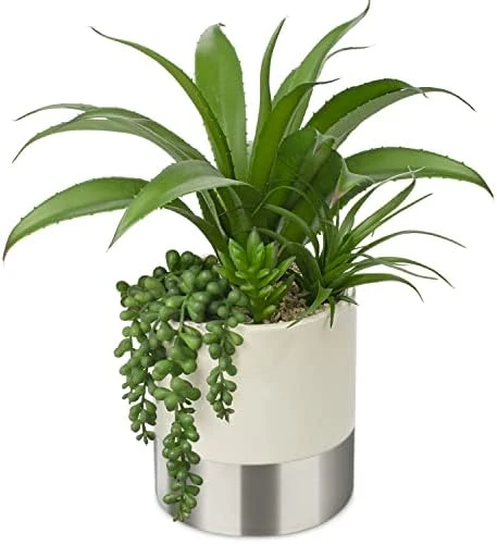 Large Artificial Succulents Plants Faux Succulents 12" Fake Succulent Plants In Gold Ceramic Pot Succulent Plant For Desk Modern Home Living Room Office Table Shelf Decor 10 Large Artificial Succulents Plants Faux Succulents 12" Fake Succulent Plants In Gold Ceramic Pot Succulent Plant For Desk Modern Home Living Room Office Table Shelf Decor - Image 8