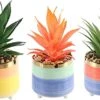 Letinaner Artificial Succulent Plants Faux Pineapple In Pots Artificial Plants Greenery Decorations For Hotel Restaurant Home Office Kitchen Table, Set Of 3 1 Letinaner Artificial Succulent Plants Faux Pineapple In Pots Artificial Plants Greenery Decorations For Hotel Restaurant Home Office Kitchen Table, Set Of 3 -Artificial Trees Store 41pNIh2kvSL