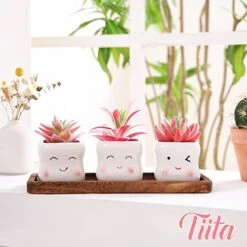 Tiita Artificial Faux Succulents In Pots Fake Plants Ceramic Arrangement Planter Small Mini Tiny Decoration For Home Office Desk Window Sill Bathroom Bedroom Outdoor Indoor -Artificial Trees Store 41pS3jIWorL