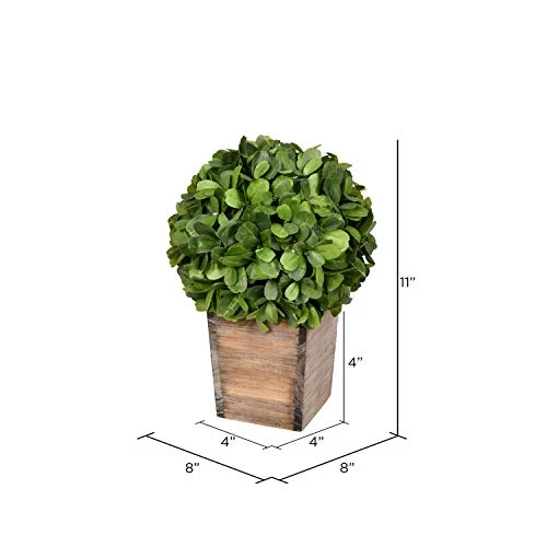 Vickerman Everyday 9 Inch Artificial Boxwood Topiary Ball - Natural Green - For Indoor Use Suspended Or Arrangement Accent - Home Tabletop Fake Bush Decoration 4 Vickerman Everyday 9 Inch Artificial Boxwood Topiary Ball - Natural Green - For Indoor Use Suspended Or Arrangement Accent - Home Tabletop Fake Bush Decoration - Image 2