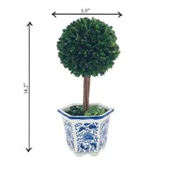 Galt International Preserved Boxwood Topiary Tree In Blue & White Ceramic Pot - Plant And Table Centerpiece - Stunning Greenery And Plant Decor For Home 5.9" Diameter Topiary 14" Tall 11 Galt International Preserved Boxwood Topiary Tree In Blue & White Ceramic Pot - Plant And Table Centerpiece - Stunning Greenery And Plant Decor For Home 5.9" Diameter Topiary 14" Tall -Artificial Trees Store 41qVeSQhQ9L