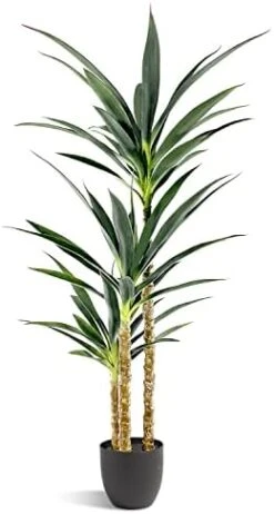 Waoops Artificial Tree 5.3Ft Faux Agave Plant With 3 Heads In Plastic Pot Fake Tree For Home Decor Indoor Or Outdoor Office Decoration Housewarming Gift 12 Waoops Artificial Tree 5.3Ft Faux Agave Plant With 3 Heads In Plastic Pot Fake Tree For Home Decor Indoor Or Outdoor Office Decoration Housewarming Gift -Artificial Trees Store 41qWDiD MeL. AC