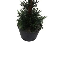 Vickerman Everyday 3 Foot Tall Artificial Cedar Topiary Double Ball Tree - UV Resistant Indoor Outdoor - Potted Natural Green - Home Patio Porch Faux Decor -Artificial Trees Store 41qeRClmUQL