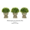 Pure Garden Artificial Podocarpus Grass Plant In Concrete Round Set Of 3, 7.5” Decorative Faux Indoor Ornamental Potted Topiary