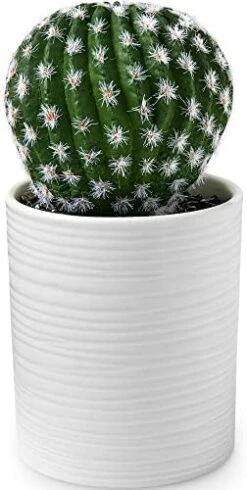 SEEKO Fake Cactus For Home Décor 11" - Artificial Faux Cactus For Southwest, Office, Desk, Shelf - Indoor Fake Plants - White Décor Accents - Modern Farmhouse Decor  -Artificial Trees Store 41qyhhkErEL. AC