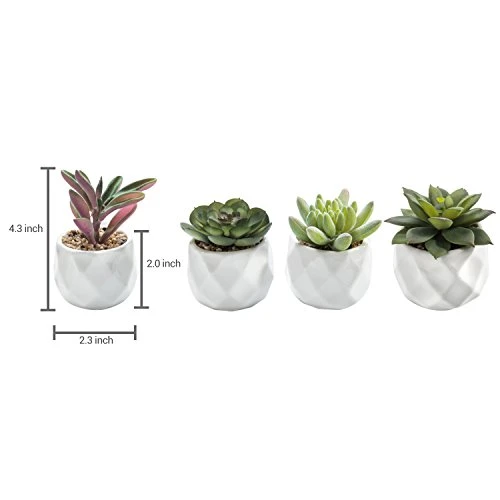 MyGift Miniature Artificial Succulents, Indoor Fake House Plants In Round White Geometric Ceramic Pots, Set Of 4 7 MyGift Miniature Artificial Succulents, Indoor Fake House Plants In Round White Geometric Ceramic Pots, Set Of 4 - Image 5