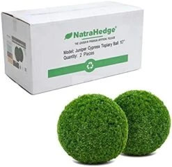 NatraHedge Artificial Topiary Ball Set - Faux Foliage Balls For Garden, Wedding, Home Décor, And Backyard (Juniper Cypress - 10" X 10" - 2 Pack) 13 NatraHedge Artificial Topiary Ball Set - Faux Foliage Balls For Garden, Wedding, Home Décor, And Backyard (Juniper Cypress - 10" X 10" - 2 Pack) -Artificial Trees Store 41rWqNwRJQS. AC