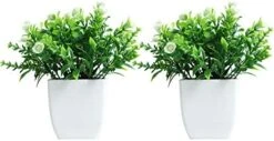 FEILANDUO Set Of 2 Mini Potted Artificial Plants Plastic Fake Green Plant For Home Decor Office Desk Shower Room Decoration Faux Plants Indoor (White, Set Of 2) 11 FEILANDUO Set Of 2 Mini Potted Artificial Plants Plastic Fake Green Plant For Home Decor Office Desk Shower Room Decoration Faux Plants Indoor (White, Set Of 2) -Artificial Trees Store 41rWrALRRL. AC