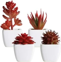 Tiita Artificial Faux Succulents In Pots Fake Plants Ceramic Arrangement Planter Small Mini Tiny Decoration For Home Office Desk Window Sill Bathroom Bedroom Outdoor Indoor 4 Set -Artificial Trees Store 41rYyT6nkdL. AC