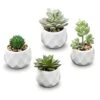 MyGift Set Of 4 Mini Assorted Artificial Succulent Fake Plants In Modern White Textured Ceramic Plant Pots -Artificial Trees Store 41rnZpqDORS