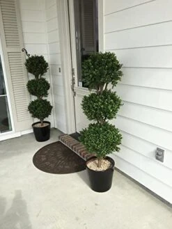 Silk Tree Warehouse Two 66 Inch Artificial Boxwood Triple Ball Topiary Trees Potted UV Rated 5 And A Half Foot Tall 9 Silk Tree Warehouse Two 66 Inch Artificial Boxwood Triple Ball Topiary Trees Potted UV Rated 5 And A Half Foot Tall -Artificial Trees Store 41rrVYTubfL