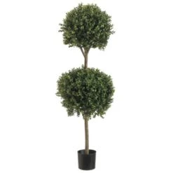 4' Double Ball-shaped Boxwood Topiary In Plastic Pot Two Tone Green