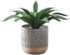 FAVRD Artificial Succulents In Cement Pot Environmentally Conscious Partly Recycled Fake Plants Artificial Plants Indoor Home Office Decor Desk Faux Plants, 8.5 X 8.5 X 8.75 Inches, Green, (10181-A) -Artificial Trees Store 41rz2ujslhS. AC
