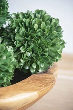 A&B Home 4" Faux Boxwood Topiary Ball Botanical/Green, Modern Greenary Home Décor -Artificial Trees Store 41sJnb0W1nL