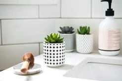 Dipiti Artificial Succulent Plants In Pots-Set Of 3|Black And White Ceramic Planters|Faux Plants Indoor & Outdoor|Gifts For Women|Kitchen Office Bathroom Desk Bedroom Shelf Decor|Potted Fake Plants -Artificial Trees Store 41sOuNQJbfL