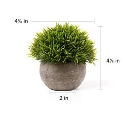 T4U 3PCS Artificial Plastic Potted Plant Fake Green Grass Faux Plant With Pot For Home Office Indoor Décor 11 T4U 3PCS Artificial Plastic Potted Plant Fake Green Grass Faux Plant With Pot For Home Office Indoor Décor -Artificial Trees Store 41sTKftLqyL