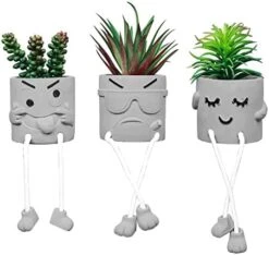 Zerzsy 3pcs Creative Artificial Succulents With Gray Flower Pots, Mini Potted Succulents For Home Decor And Gift Choice. -Artificial Trees Store 41tkVIWVf6L. AC