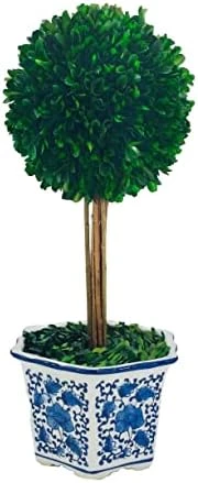 Galt International Preserved Boxwood Topiary Tree In Blue & White Ceramic Pot - Plant And Table Centerpiece - Stunning Greenery And Plant Decor For Home 5.9" Diameter Topiary 14" Tall 8 Galt International Preserved Boxwood Topiary Tree In Blue & White Ceramic Pot - Plant And Table Centerpiece - Stunning Greenery And Plant Decor For Home 5.9" Diameter Topiary 14" Tall - Image 6