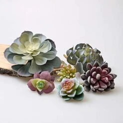 Caqpo Artificial Succulents - 15 Pack - Premium Unpotted Succulent Plants Artificial - Realistic Textured Succulents - Fake Succulent Plants For DIY - Faux Cactus Plant Bulk - Feaux Succulent Plants -Artificial Trees Store 41uDz6G70pL